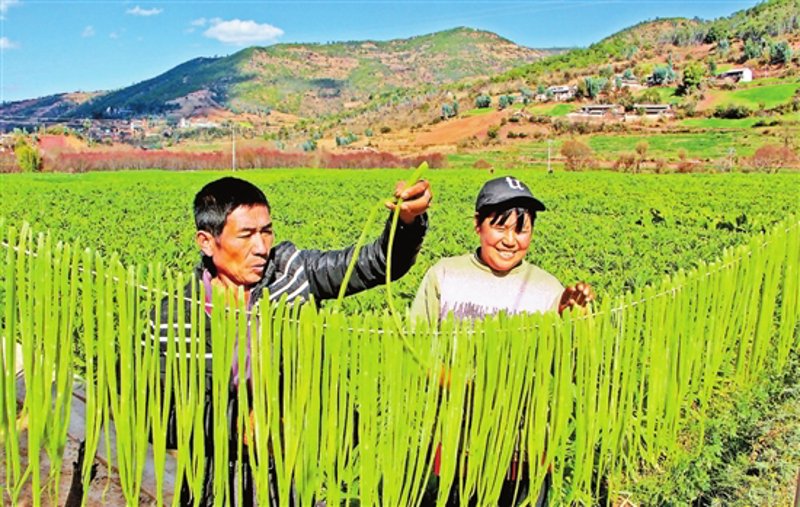 如何开设一家网店？预算多少合适？
