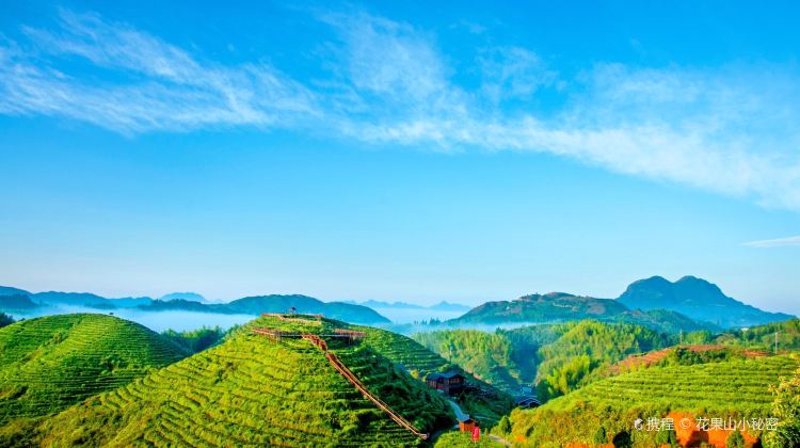 如何开启你的网店之旅？成本大概是多少呢？